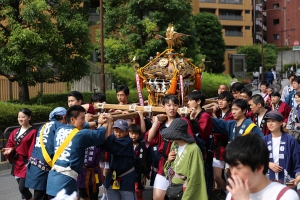 神輿を担ぐ上智大学のみなさん