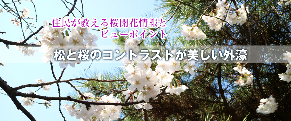 第3スライド