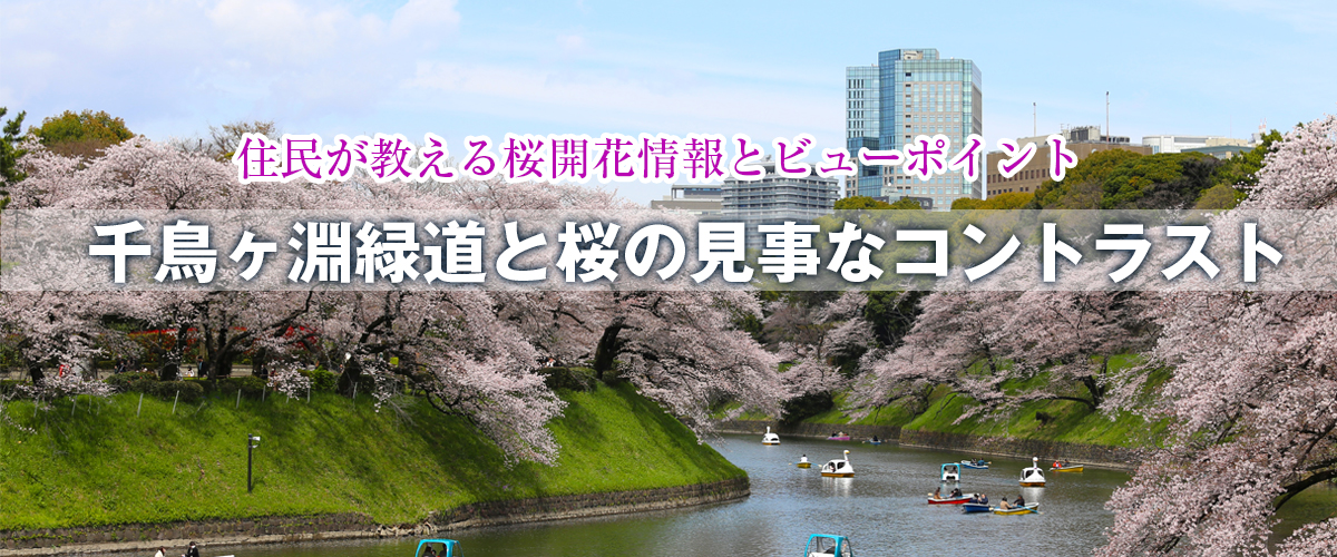 第1スライド