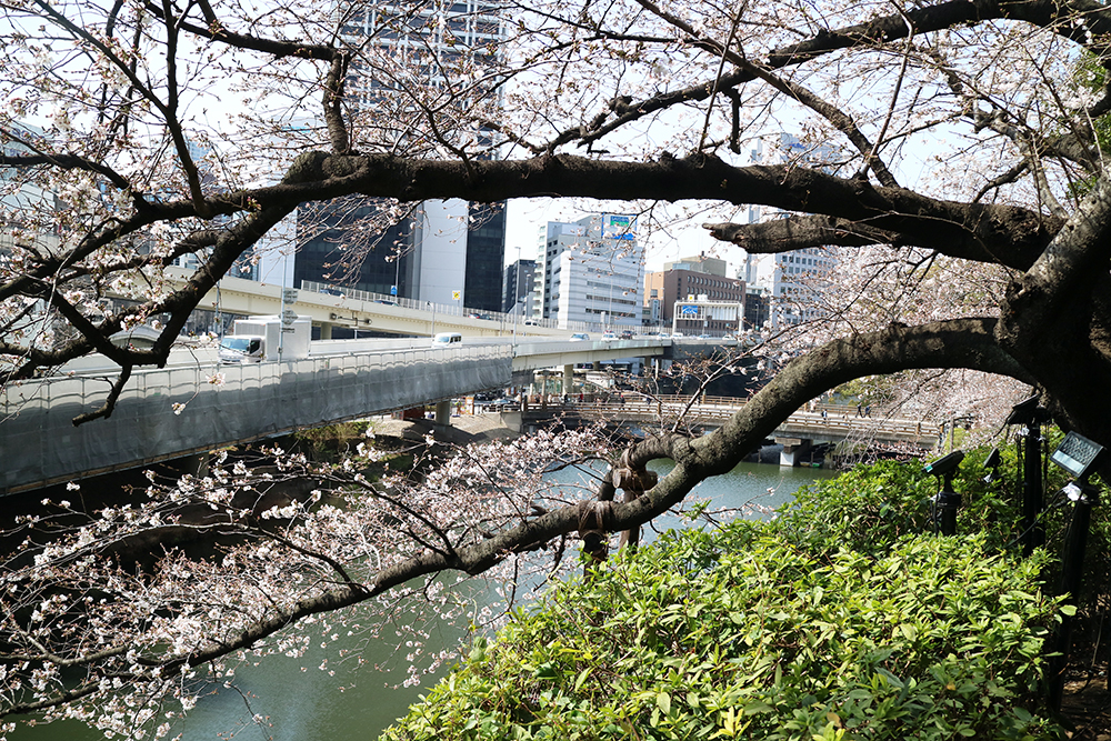 3月25日　上から見るか？下から見るか？