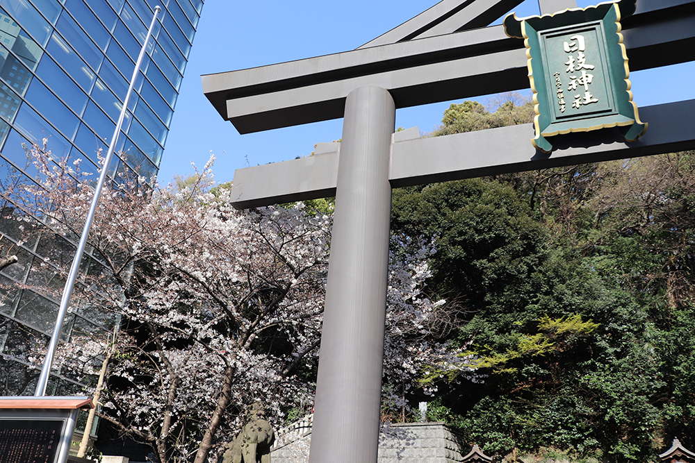 3月26日　日枝神社