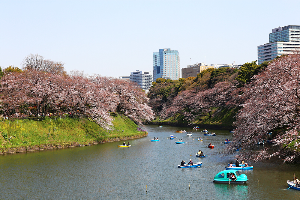 3月27日　いよいよ本日からライトアップ開始