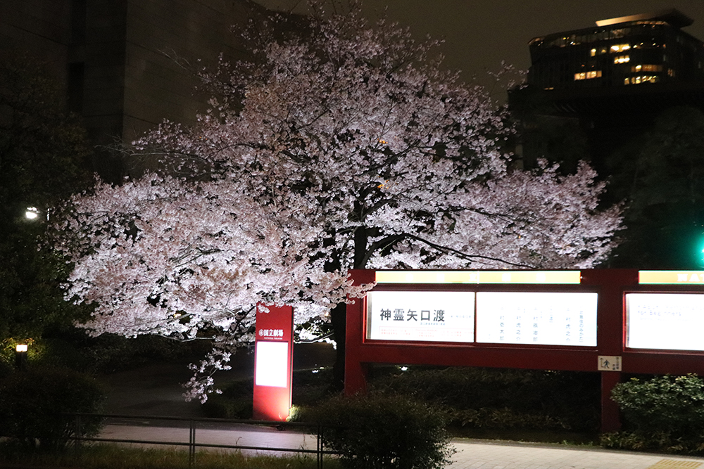 3月29日　国立劇場のライトアップ