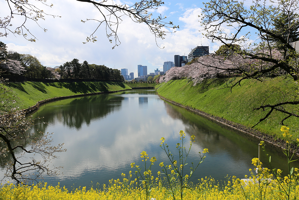 4月1日　英国大使館と半蔵濠