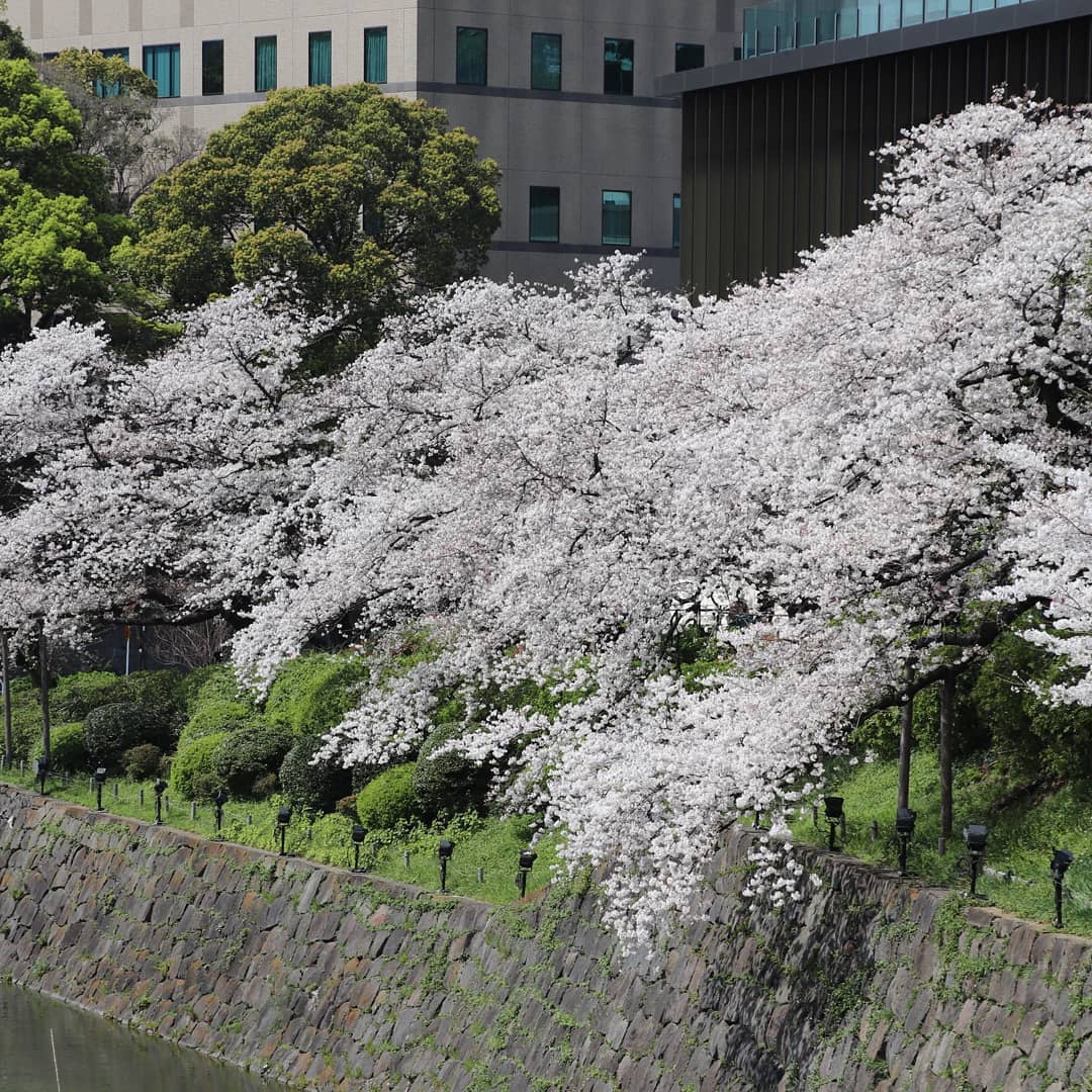 東京ガーデンテラス紀尾井町