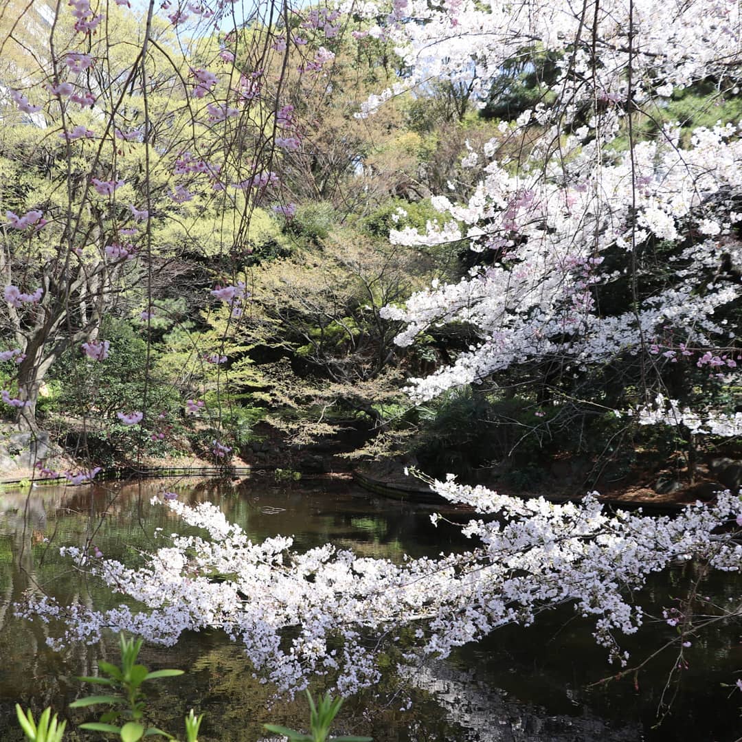 都心のオアシス　清水谷公園