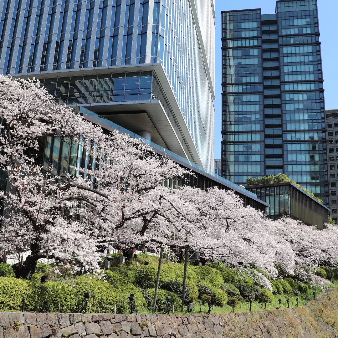 東京ガーデンテラス紀尾井町 弁慶濠