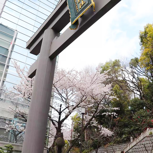 日枝神社大鳥居前にて