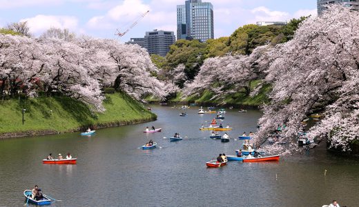 下のソーシャルリンクからフォロー