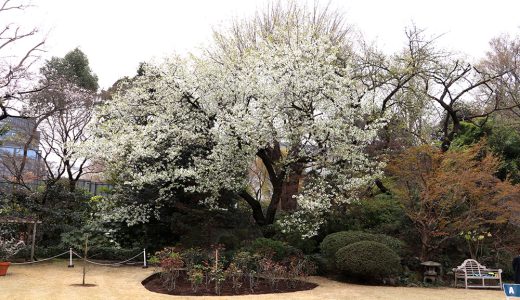 下のソーシャルリンクからフォロー