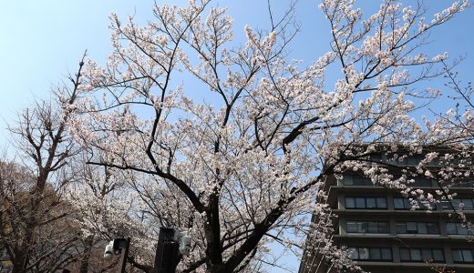 下のソーシャルリンクからフォロー