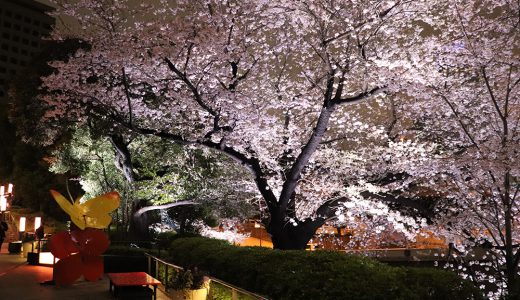 下のソーシャルリンクからフォロー