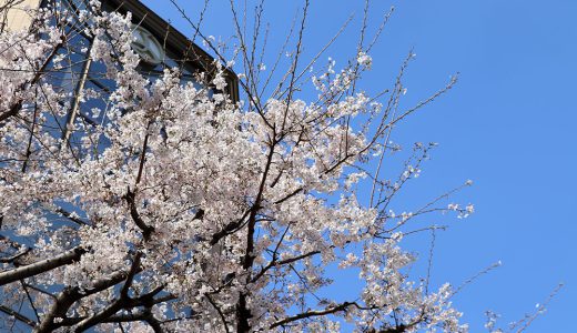 下のソーシャルリンクからフォロー