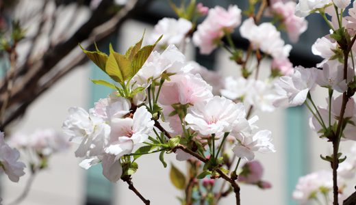 山王坂の天の川