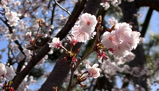 下のソーシャルリンクからフォロー