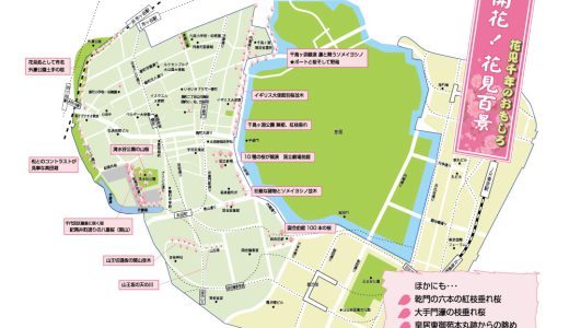麹町界隈 桜ビューポイント