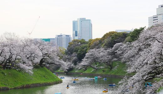 下のソーシャルリンクからフォロー