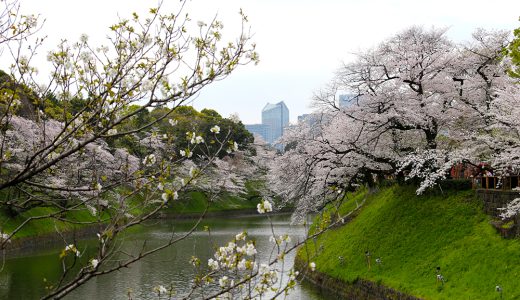 下のソーシャルリンクからフォロー