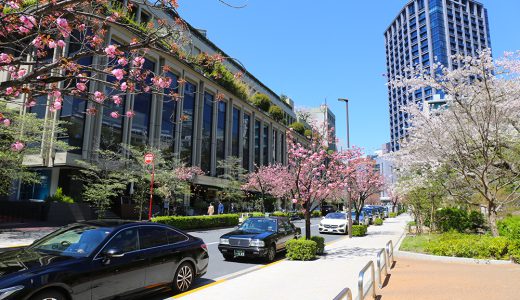 まさに百花繚乱の紀尾井町通り