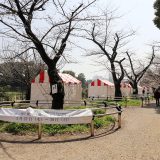 千代田さくらフェスティバルは今日から