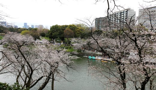 千鳥ヶ淵を逆側から見ると…