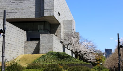 最高裁判所の桜並木