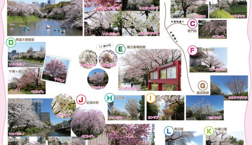 下のソーシャルリンクからフォロー