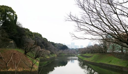 千代田のさくらまつり