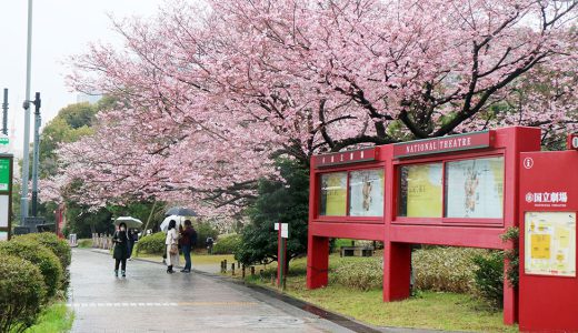国立劇場前庭の神代曙