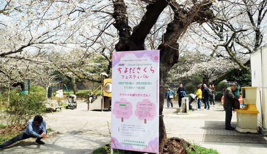 半蔵門濠 さくらフェス