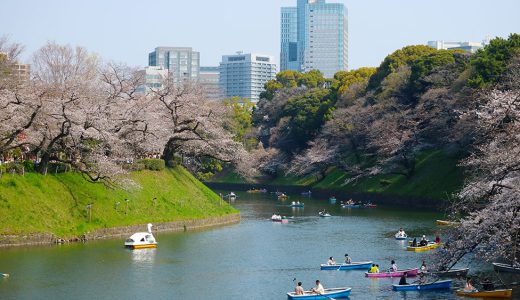 千鳥ヶ淵緑道 桜トンネル