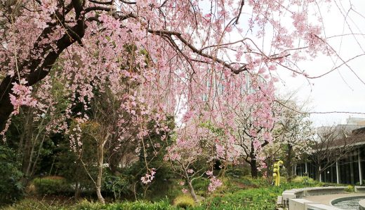 紀尾井町 和庭園とアートな庭