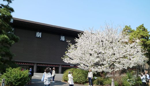 花めく国立劇場前庭