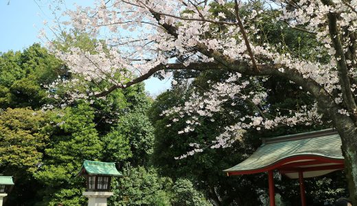 パワースポット日枝神社