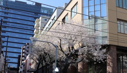 下のソーシャルリンクからフォロー