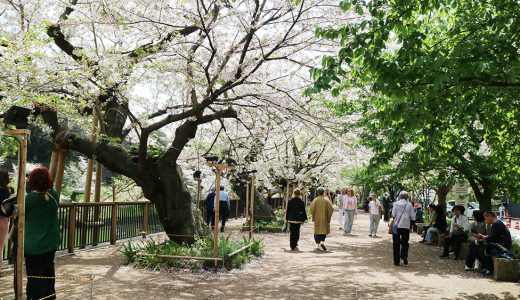 下のソーシャルリンクからフォロー