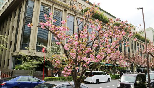 下のソーシャルリンクからフォロー