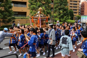 法政大学 女御輿