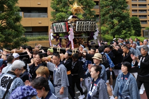 大きくて華やかな神輿